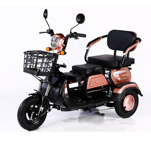 2023 Vente Chaude 600W 48V Vélo Électrique à 3 Roues, Tricycle Électrique Adulte Cargo Ebike Sans Panier - Product Image 6