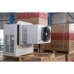 Tiết kiệm chi phí không có cài đặt tất cả trong một mái treo tường đơn vị làm lạnh lạnh phòng lạnh đơn khối ngưng tụ đơn vị - Product Image 2