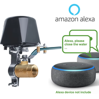 Katup Pengontrol WiFi Tuya Berbahan Logam, Katup Penutup Air Taman Otomatis dengan Alexa, Google Home, dan IFTTT