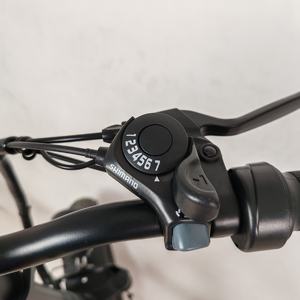 Offre Spéciale Chine Cargo vélo électrique 3 vitesses 48V batterie au lithium 500W 20 pouces route ville e-bike vélo électrique pour <span class=keywords><strong>femme</strong></span> homme - Product Image 5