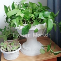 Pots en plastique élégants européens, vase à fleurs en colonne, centre de table de mariage, supports à fleurs en pilier, jardinière de porche, décoration de la maison