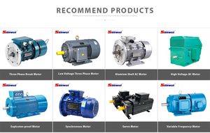 <span class=keywords><strong>Motor</strong></span> <span class=keywords><strong>de</strong></span> CA trifásico Sunwei Serie Y <span class=keywords><strong>de</strong></span> 1.1kw, 2.2kw, 4kw, 5.5KW, 7.5kw, 11kw, 15kw, 380V, <span class=keywords><strong>de</strong></span> alta eficiencia para excavación y procesamiento en minas - Product Image 6