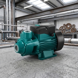 Pompe à <span class=keywords><strong>eau</strong></span> périphérique auto-amorçante à basse pression de gros volume 0,37 kW 370 W pour la circulation <span class=keywords><strong>d</strong></span>'<span class=keywords><strong>eau</strong></span> domestique - Product Image 1