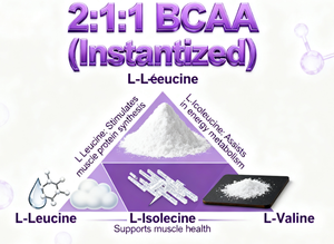 Cápsulas de BCAA 2:1:1 OEM/ODM, Apoyo a la Masa Muscular Magra y Quema de Grasa, Preservación Muscular y Fuerza, Resistencia y Aumento de Energía - Product Image 4