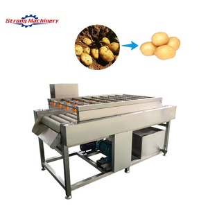 Máquina para Lavar y Clasificar Mariscos y Frutas con Motor |   Lavadora Ecológica para el Procesamiento de Manzanas y Naranjas - Product Image 3