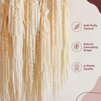 Fleurs d'amarante naturelles préservées suspendues 60-100cm pour décorations de mariage, Noël, fête des Mères, arche élégante, toile de fond bohème personnalisée