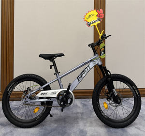 20 Inch China Popular Children <strong>Bike</strong> Student Road Bicycle Boys <strong>Girls</strong> Student Sports <strong>Bike</strong> <strong>for</strong> Children - Product Image 4