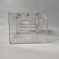 YAGELI Boîte d'élevage pyramidale en acrylique transparent personnalisée pour fourmis, nid vivant pratique, service professionnel, présentation uniquement
