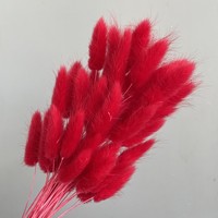 DP-002干花60头兔尾乡村婚礼装饰花漂白兔尾潘帕斯草