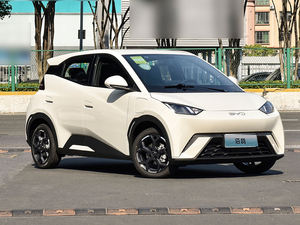 2025 vehículos de nueva energía coche eléctrico puro Byd Seagull 5 puertas 4 plazas Hatchback EV Auto - Product Image 2