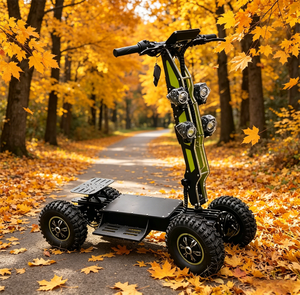 Dual <b>Drive</b> Electric Scooter 14 Inch Tire <b>Disc</b> Brake System Outdoor All Terrain 50-70km/h 70-90km Non Public Road Use - Product Image 5
