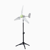 Mini éolienne portable 1 ~ 24VDC sortie avec moulin à vent USB pour la randonnée, le camping, le générateur de vent PMG sans noyau 50W