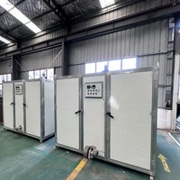 Déshydrateur alimentaire compact au gaz naturel avec contrôle intelligent de la température et circulation d'air chaud pour la séchage des fruits et des pruneaux