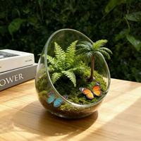 Vase en verre transparent à bords inclinés pour aquarium, décoration de bureau, terrarium pour mousse, conteneur écologique pour micro-paysage