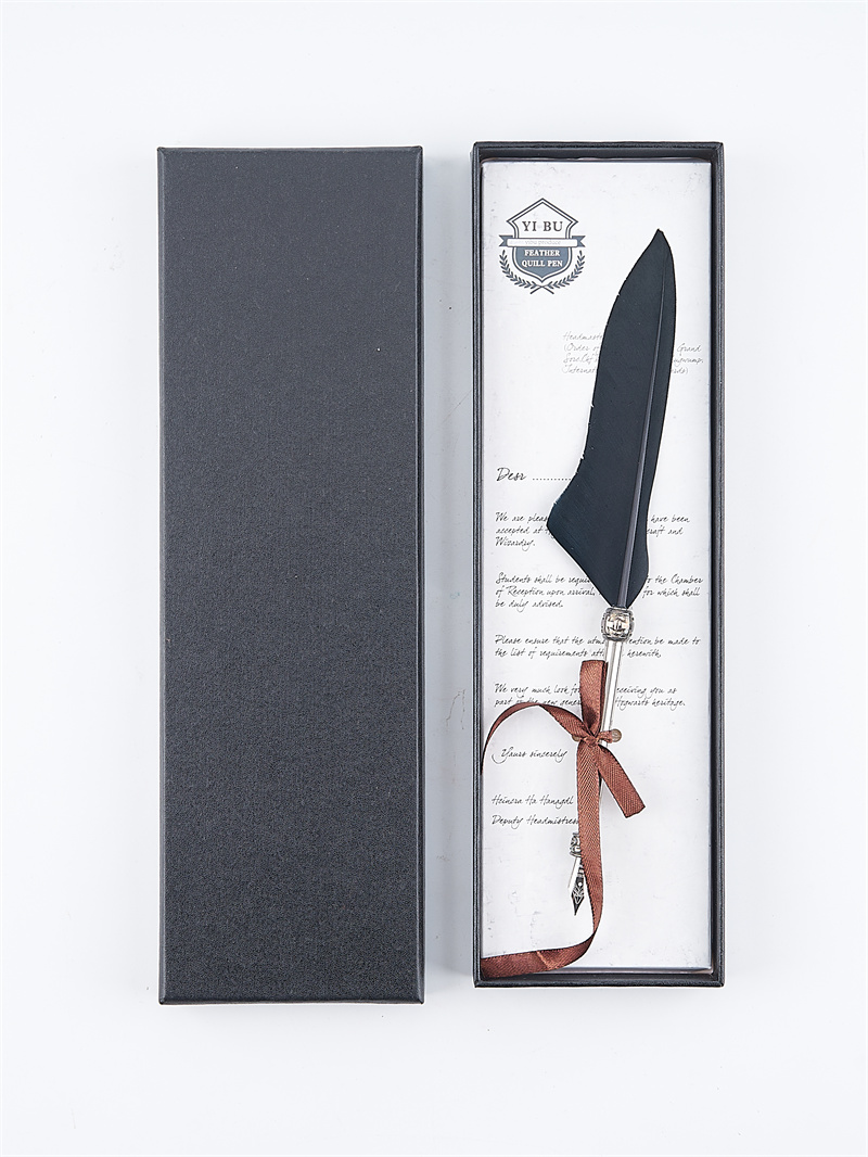 Penna nera in una scatola