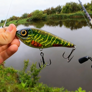 Leurre de pêche Selco Sinking Predator Jerkbait pour brochet, black-bass et brochet d'eau douce - Product Image 1