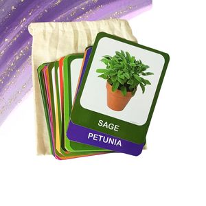 Tarjetas de aprendizaje basadas en el conocimiento para plantas y flores de color verde y florecientes |   30 Tarjetas de Aprendizaje sobre Plantas y Flores - Product Image 2
