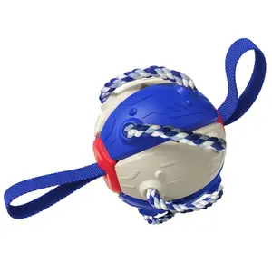 2024 Top Seller Pet Supplies Products Interactive Dog Outdoor Training Interactive Frisbeed Football Dog Chew Toy