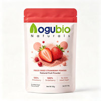 Biologisch gevriesdroogd aardbeipoeder 100% puur natuurlijk fruitpoeder groothandel rechtstreeks van de fabriek