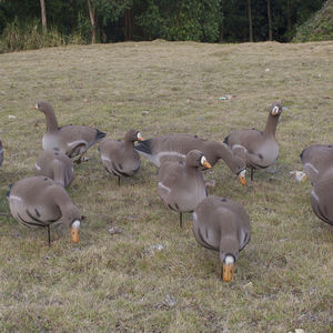 Multi-Pose Collapsible Floating Standing Waterfowl Decor Plastic Realistic Lightweight Landscape Goose Ornaments <b>Hunting</b> <b>Decoy</b> - Product Image 3