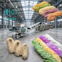 Équipement de fabrication de nouilles fraîches Ripen, machine à nouilles automatique à haute efficacité