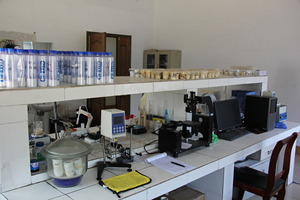 60% dimethyl Silicone nhũ tương 350cst cao su khuôn phát hành đại lý hiệu suất cao CAS no. 63148-62-9 hóa chất phụ trợ đại lý - Product Image 5