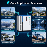 Sistema Solare All-in-One C&I con Batteria di Accumulo Energetico Inedge Power OEM/ODM 105KW/208KWh 125KW/261KWh Raffreddata a Liquido LFP