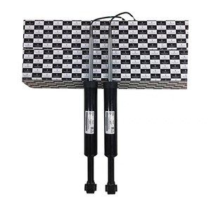 Amortiguador Trasero Izquierdo o Derecho con Suspensión Neumática para Quattroporte Ghibli OEM 670105403 - Product Image 3