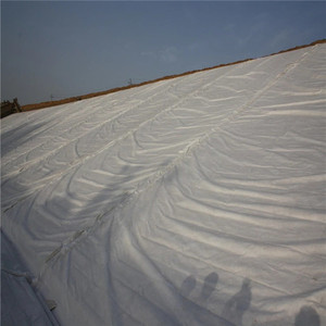 Sunlu — Filament géomantique 300g, Dyke et chemin de fer blanc, aiguille à imperméable pointue, non-tissé, pour la stabilisation du sol - Product Image 6