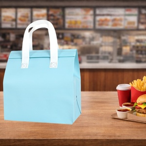 Mochila Térmica Aislante de Tela No Tejida con Forro de Aluminio Personalizada para Envíos, con Panel Solar, para Comida para Llevar, Venta al por Mayor - Product Image 1