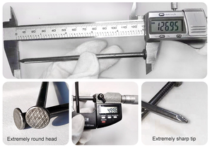 6D 8D 10D 20D çinko kaplı galvanizli ortak tırnak ahşap inşaat - Product Image 6