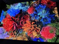 Écrans LED d'intérieur, dalles LED, piste de danse LED interactive, mur LED P4.81, écran LED pour mariage, fête, jeu actif