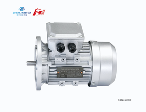 <span class=keywords><strong>Motor</strong></span> Eléctrico <span class=keywords><strong>de</strong></span> Bomba Serie MS IE1 2P 0.18kw 0.37kw 0.55kw 0.75kw 0.25HP 0.5HP 0.75HP 1HP B3 con Certificación CE ISO9001 EAC CCC - Product Image 1