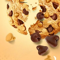 Vente en gros de boîtes de biscuits aux pépites de chocolat ronds et moelleux de 170 g, collation sucrée pour les loisirs quotidiens