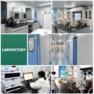 Toplu Gynostemma Pentaphyllum özü tozu 98% Saponins | Beslenme takviyeleri için Vegan dostu doğal bitkisel içerik - Product Image 4