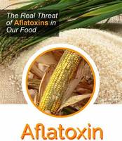 Kit de détection rapide de l'aflatoxine B1 haute précision pour la sécurité alimentaire avec personnalisation OEM/ODM et garantie de 2 ans