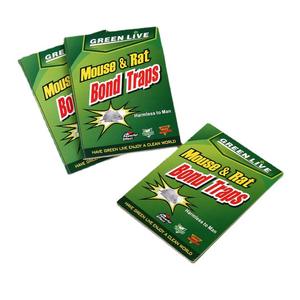 กับดักหนูแบบเหนียว 21ซม.x15ซม. ปลอดสารพิษ กาวเหนียวแน่น สำหรับหนูและแมลง ใช้ในครัวเรือน - Product Image 2
