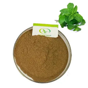 HALAL factory price wholesale peppermint extract menthol powder