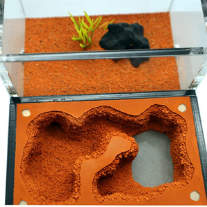 Granja de hormigas acrílicas DIY nido hormiguero Castillo caja de insectos para observar hábitat de hormigas vivas para niños y niñas - Product Image 5