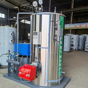Generatore di Vapore Verticale a Tubi di Fumo da 0,5 Tonnellate, a Gasolio e Gas, Caldaia Industriale Automatica per Riscaldamento Domestico e Acqua Calda, adatta anche per Biomassa - Product Image 4