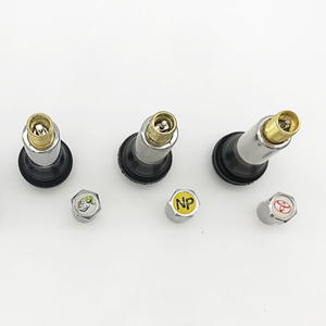 Capuchon de valve de pneu de voiture tubeless chromé TR413C TR414C avec logo personnalisé - Product Image 5