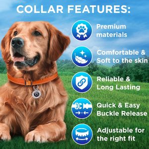 TECEUM Reflective <b>Dog</b> <b>Collar</b> Orange <b>Large</b> Premium Nylon Pet <b>Collar</b> With Quick Release Buckle For <b>Large</b> <b>Dogs</b> - Product Image 3