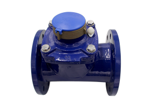 Medidor de Agua Fría de Paletas, 100 mm, OIML R 49 - Product Image 4