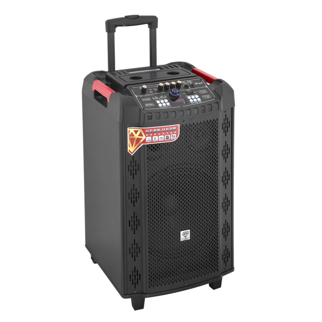 Diamond Audio-Outdoor Party Speaker for Adults, with AUX, TF ,FM, TWS, EQ, ECHO