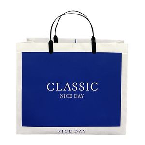 Low Moq Hochwertige Plastik verpackungs tasche Einkaufs geschenk Plastiktüte Tragbare PP-Tasche Fashion Block Party - Product Image 1