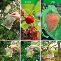 Sacs en maille pour culture de fruits et légumes, filet de Protection contre les oiseaux, taille 7, 50 m
