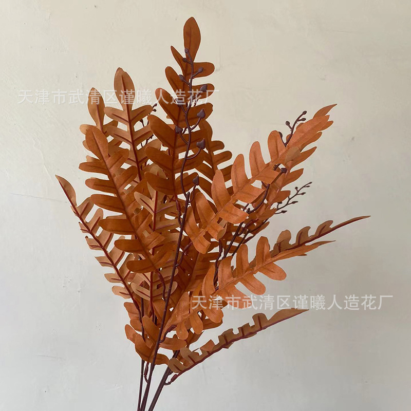 feuilles de criquet