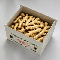 Conteneur en PP ondulé recyclable pour gingembre, étanche, lavable, empilable, dégradable, pour la récolte de gingembre frais en ferme