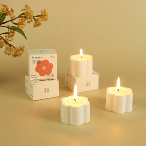 Il Futuro Promette: Candela Profumata in Cera di Soia Biologica per Mini Giardino, Regalo per Diwali, Festa del Papà, Compleanno, Barrette Profumate per la Casa - Product Image 1