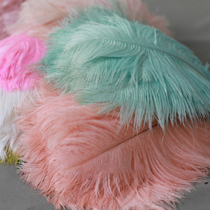 Bán Buôn Kích Thước Lớn Đà Điểu Lông Trang Trí Đám Cưới Bảng Centerpieces Feather - Product Image 6